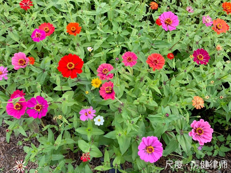 图片上传自尺度APP