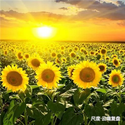 图片上传自尺度APP