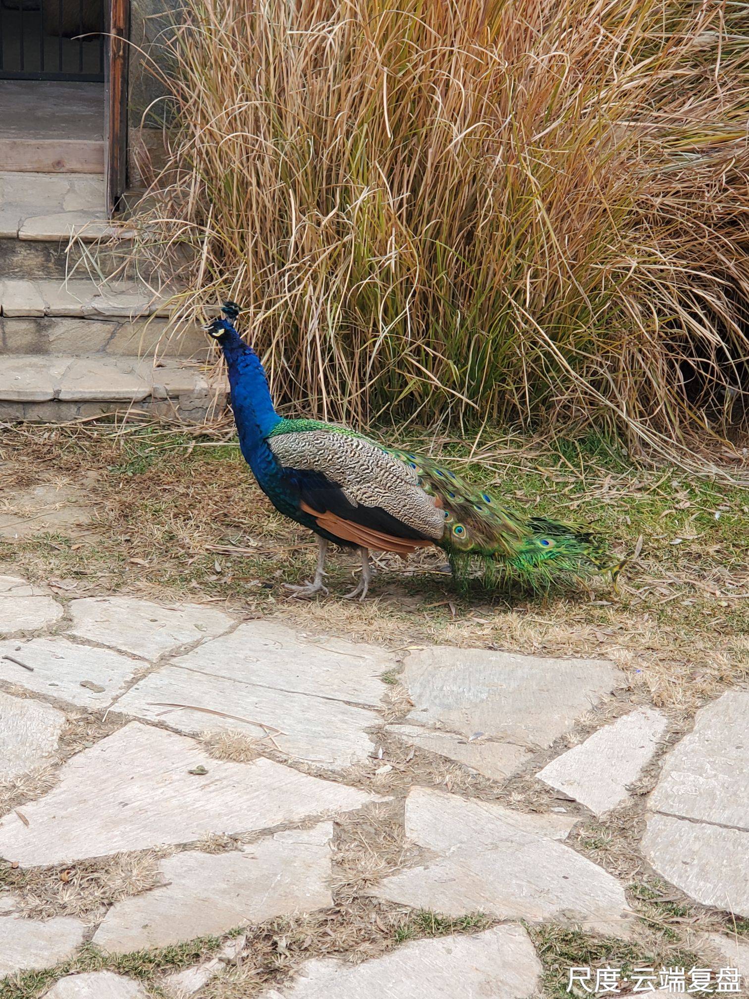 图片上传自尺度APP