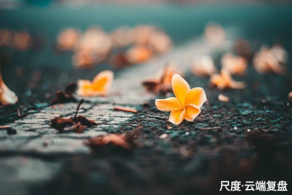 图片上传自尺度APP