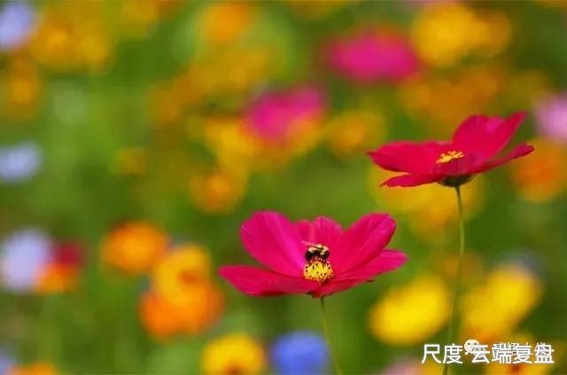 图片上传自尺度APP