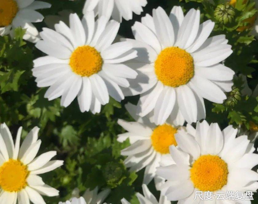 图片上传自尺度APP