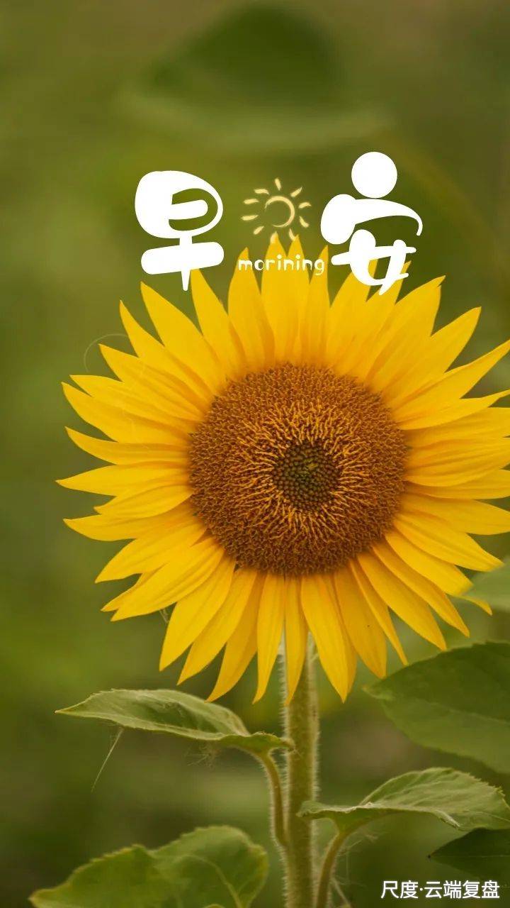 图片上传自尺度APP