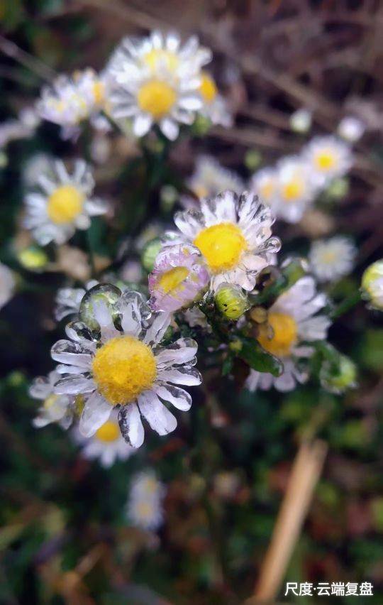 图片上传自尺度APP