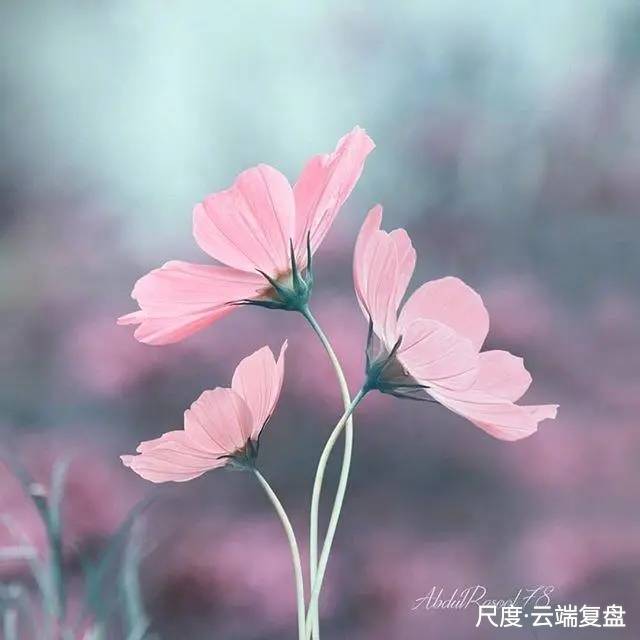 图片上传自尺度APP