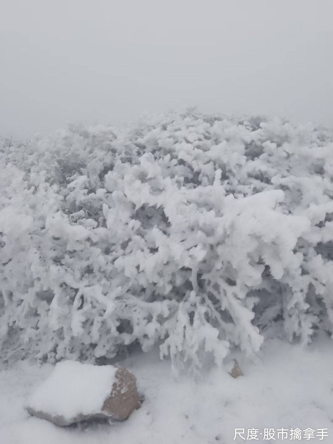 图片上传自尺度APP