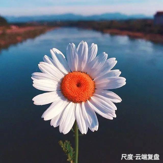 图片上传自尺度APP
