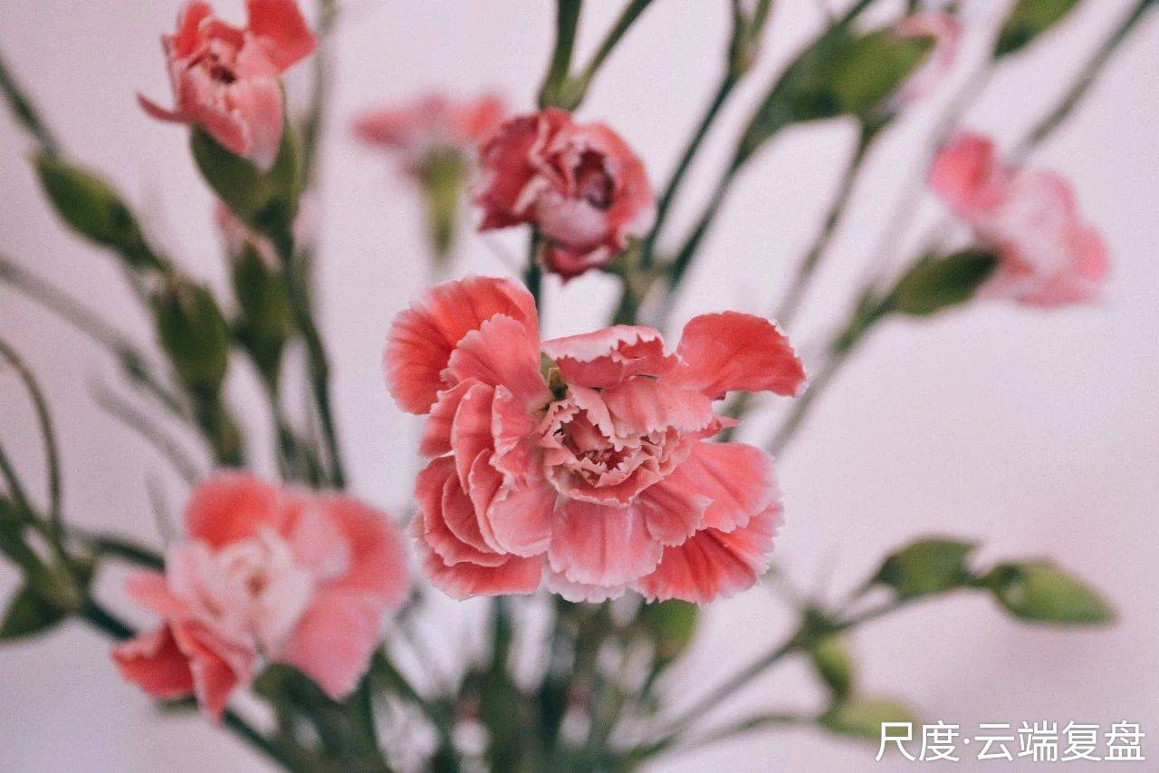 图片上传自尺度APP