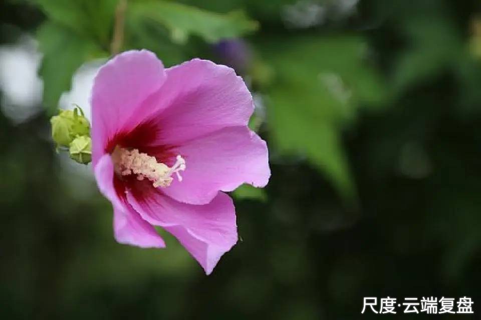 图片上传自尺度APP