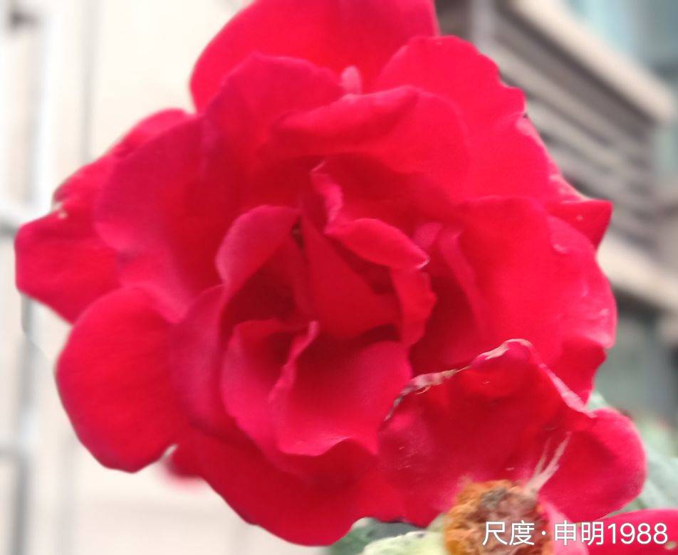 图片上传自尺度APP