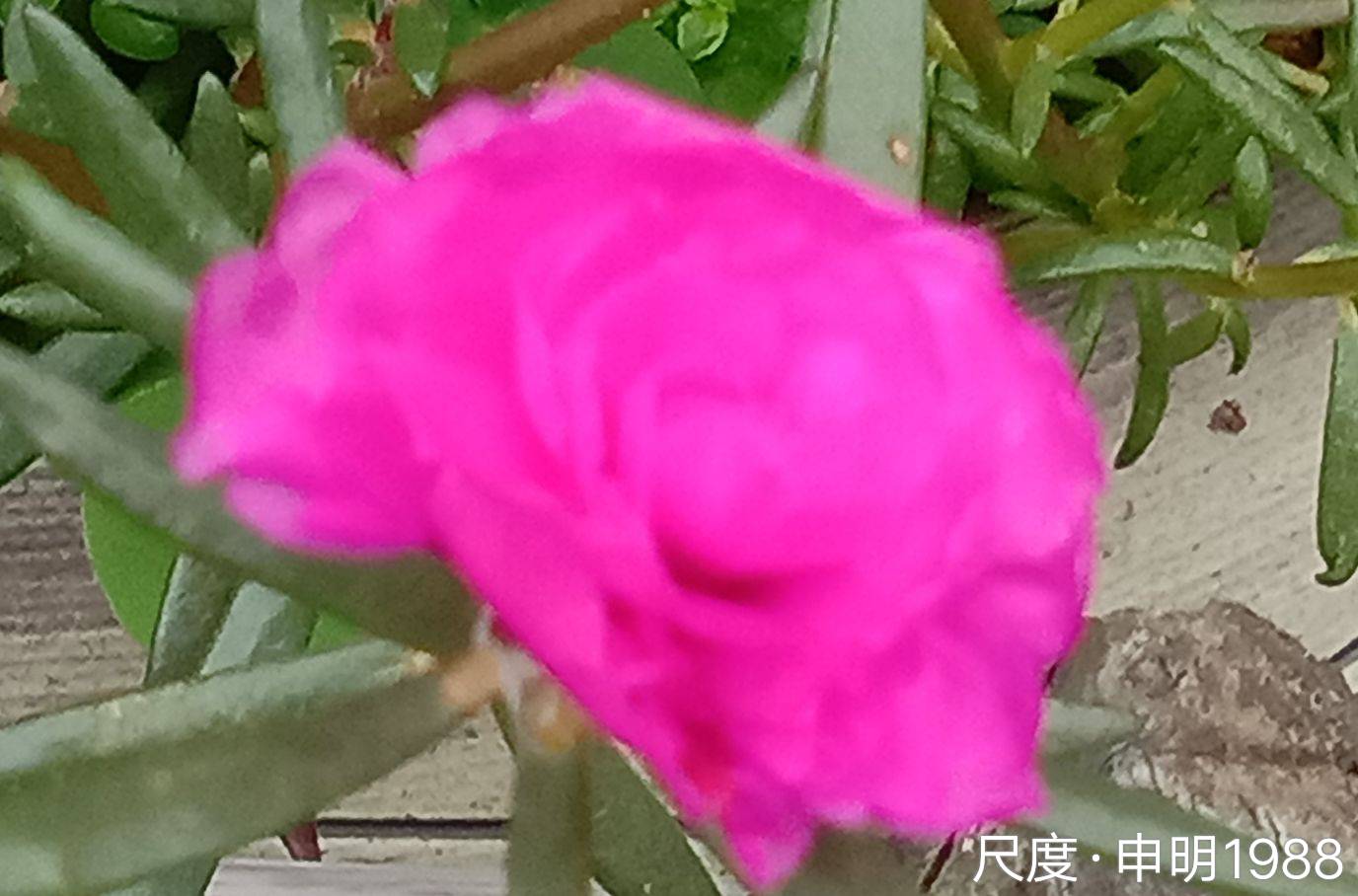 图片上传自尺度APP