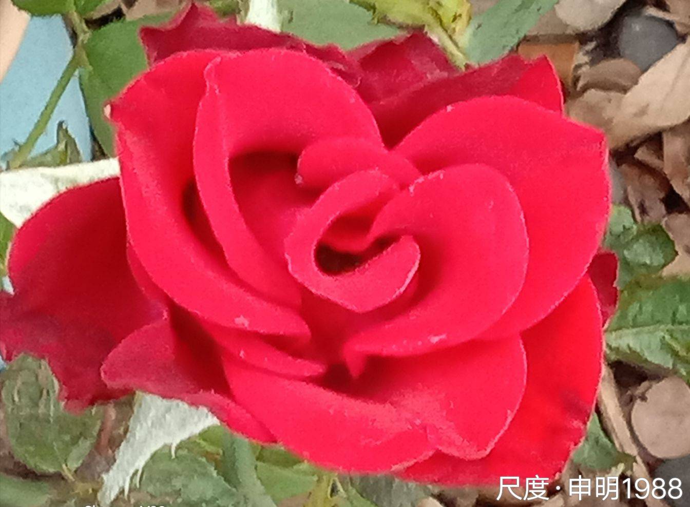 图片上传自尺度APP