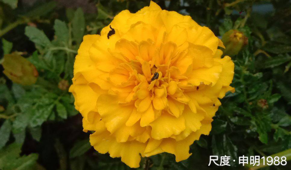 图片上传自尺度APP
