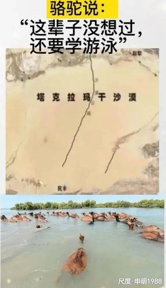 图片上传自尺度APP